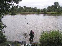 Netting a large carp