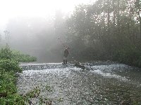 Clearing the salmon pass