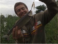 Grayling on the spinner