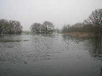 Avon in flood