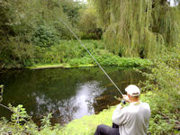 Dace fishing