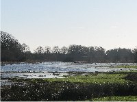 Hucklesbrook south marsh