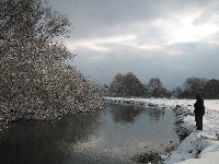 Winter at Ibsley