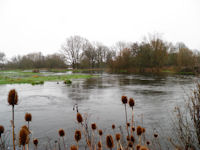 Floods at Ibsley Pool