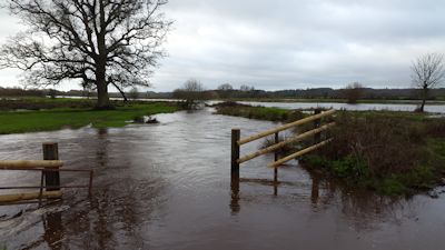 High water on the Hucklesbrook
