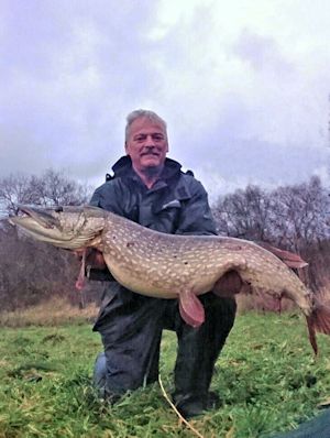 Great looking pike
