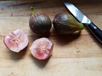 The perfect fig