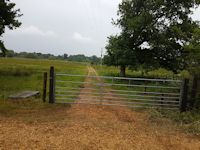 new gate