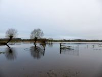 Floods at Gorley