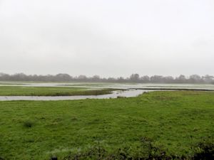 Flooded meadows at Harbridge