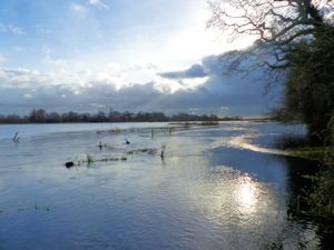 Harbridge flood