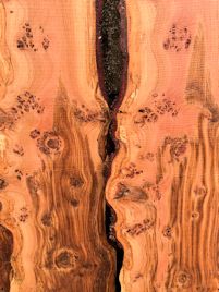 Wildwood oak boards