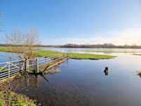 Flooded meadows