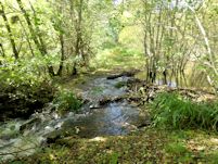 Breached beaver dam