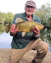 Tench