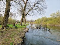 Winching out the Broadmeade oak