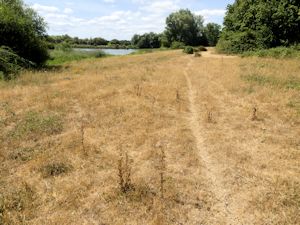 Baked meadows