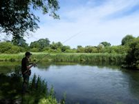 Trotting the Avon