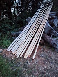 Tipi poles